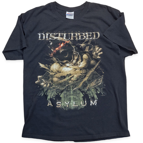 Other - Disturbed 2010 Asylum Album tour Tee graphic print XL Hanes heavyweight tag